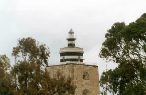 Cyberlights Lighthouses - Punta S. Ranieri